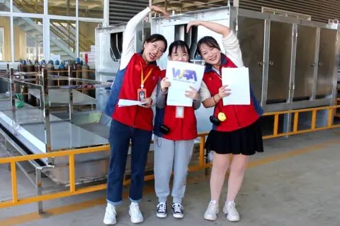 Professional Equipment Manufacturers Sheep Slaughterhouse Equipment Inspection Be From WFA Abattoir