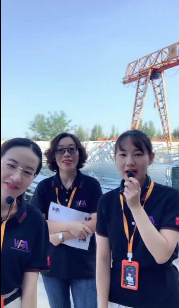 Professional Abattoir Machinery Installation Material And Auxiliary Devices For Slaughterhouse