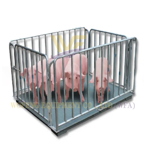 Slaughterhouse Pig Weight Scale System Abattoir Equipment