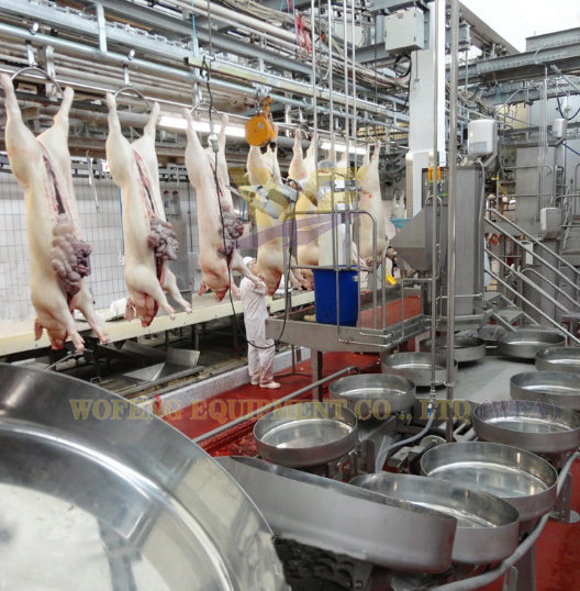 Pig Butcher Equipment - Synchronous Quarantine Conveyor for Efficient Slaughter Processing