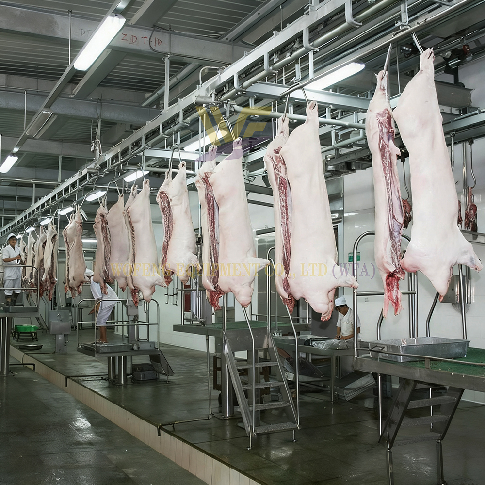 Operation Steps for China's Modern 6,000 Pig Per Shift Slaughtering Line Project