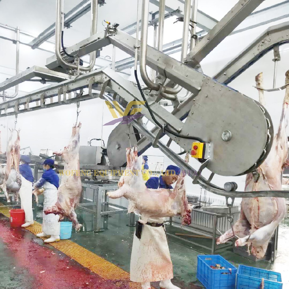 Sheep Slaughter Line