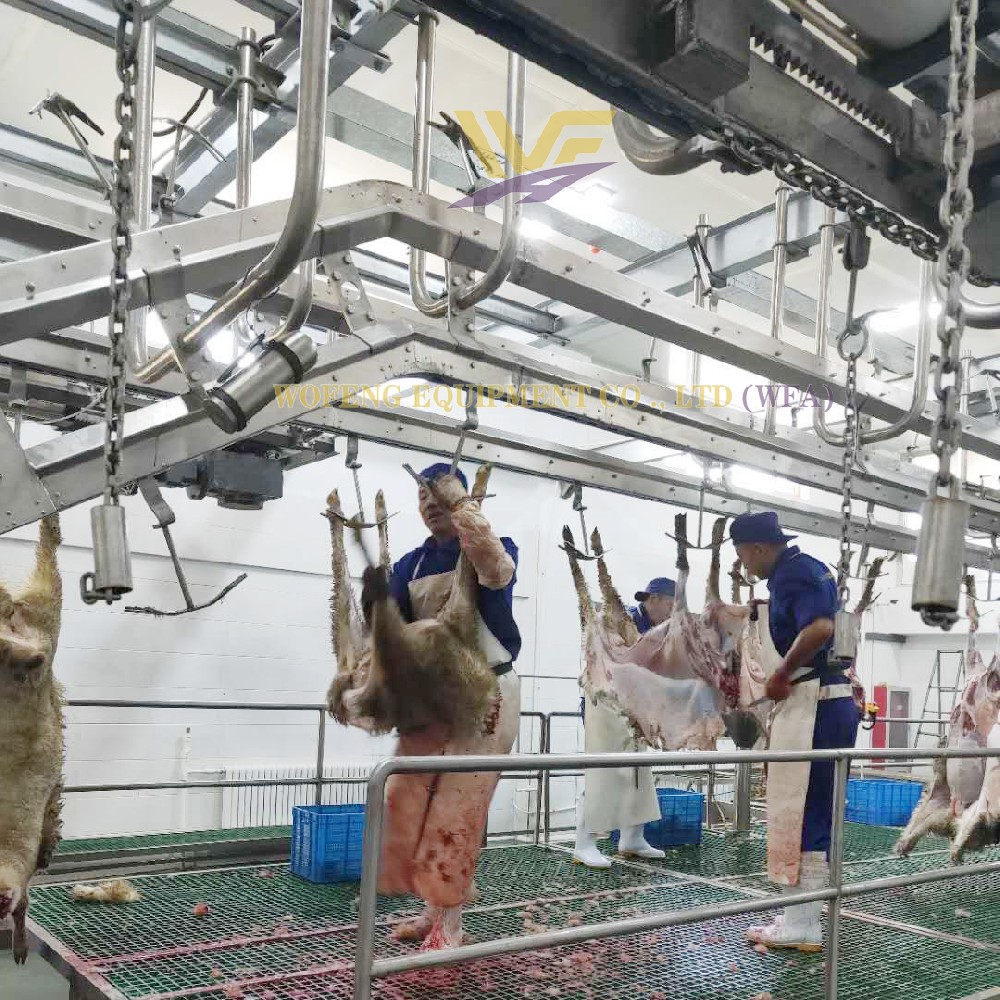 Sheep Processing Equipment