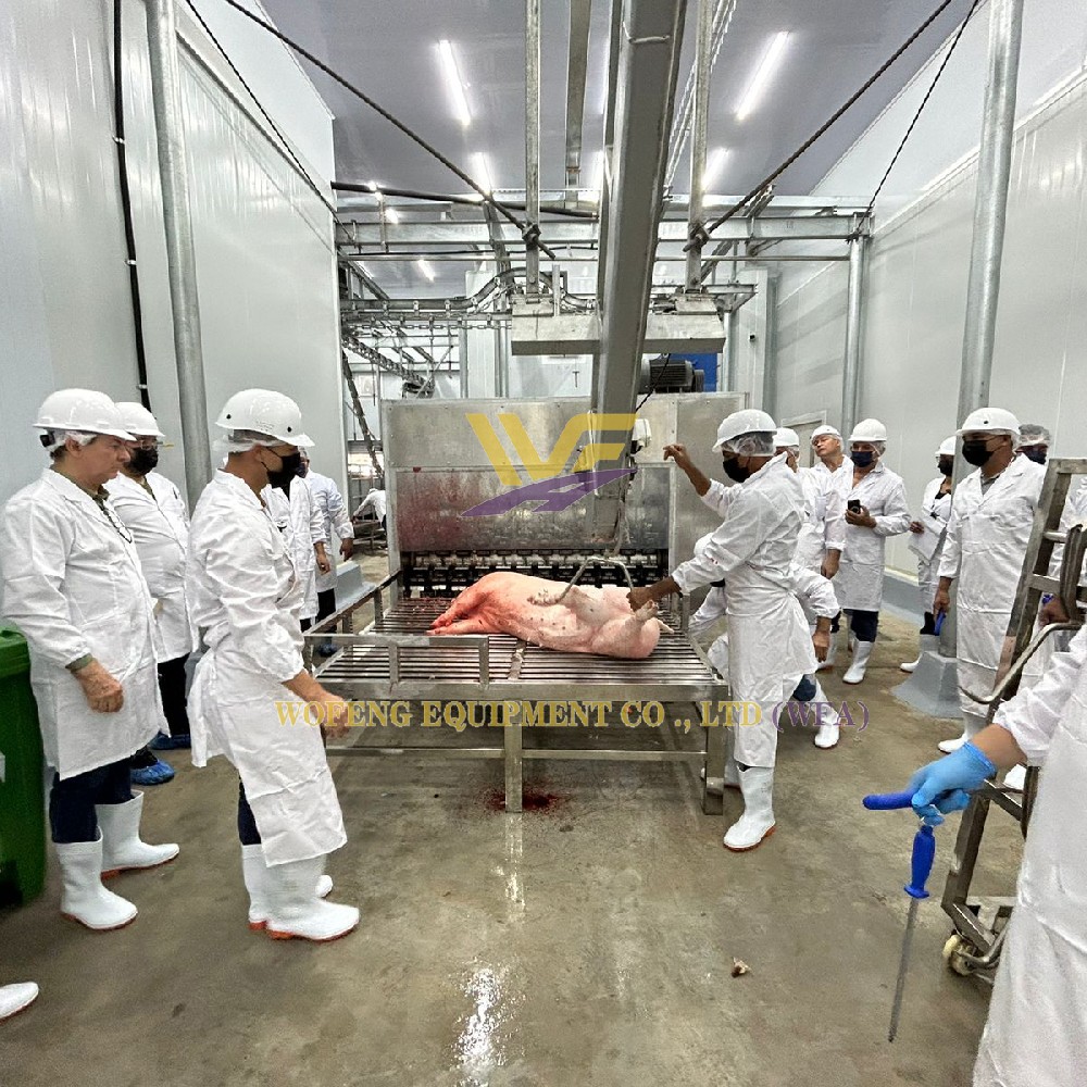 Automatic Slaughterhouse Machinery for Pig Slaughter Equipment