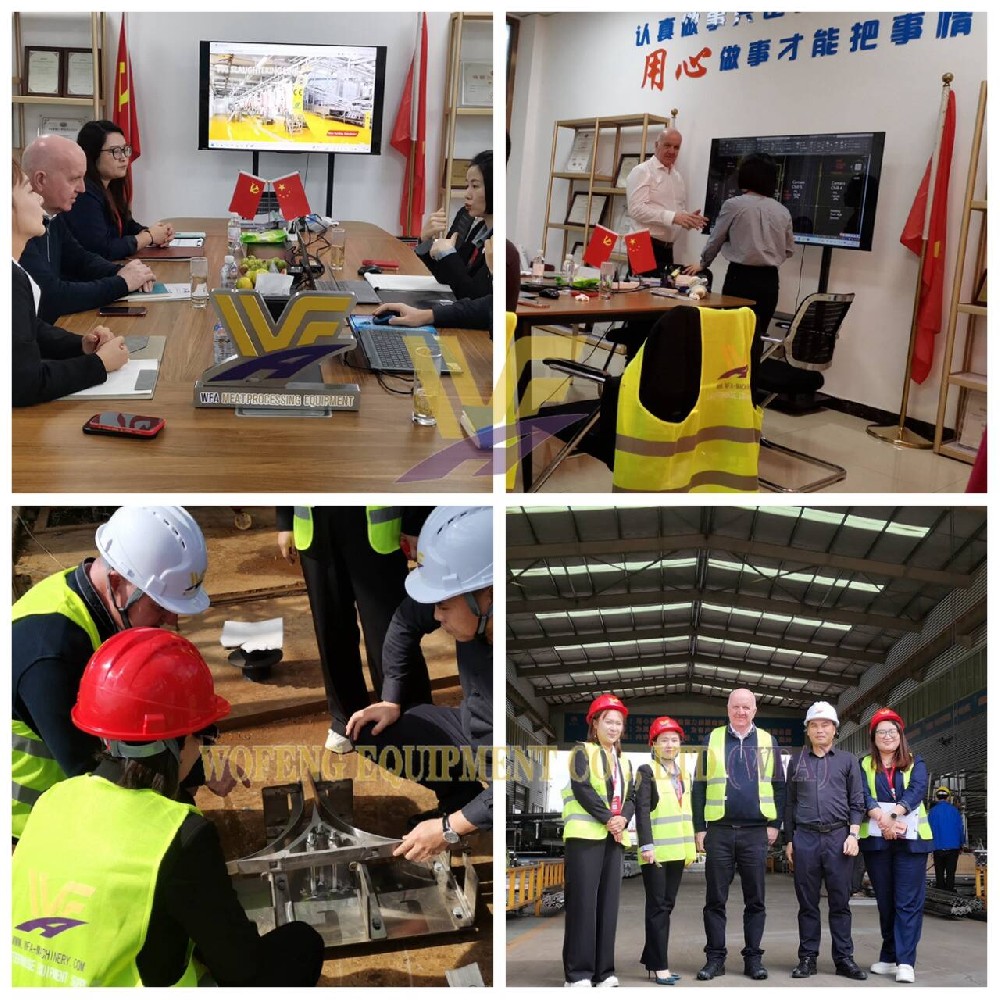 Irish Client-WFA Deal: Cattle & Sheep Slaughter Equipment Secured