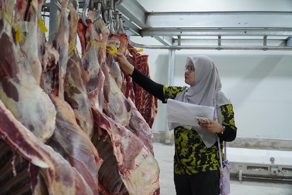 WFA Sets New Standard in Southeast Asia with Successful Launch of High Performance Cattle Slaughter Line