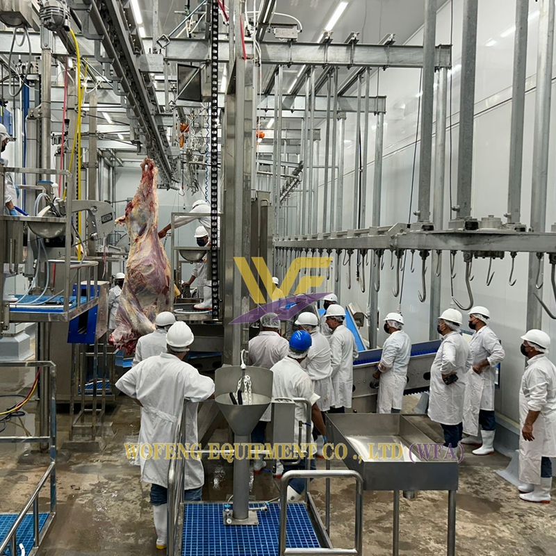 Commercial Butcher Equipment | Automatic Cattle Dressing Conveyor & Complete Slaughterhouse Machinery
