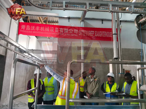 Overseas Fulfillment – National-Level Project Successfully Delivered! WFA Engineering's Tanzanian Government Cattle & Sheep Slaughtering Equipment Project Passes Acceptance and Enters Trial Production